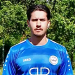 Dominik Hamyede
