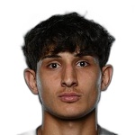 Davit Gogebashvili
