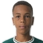 Emanuel Ribeiro da Silva