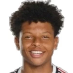 Luan de Almeida Silva