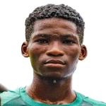 Usman Ajibola Owoyemi