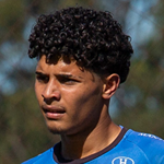 Pedro Henrique dos Santos Guimarães