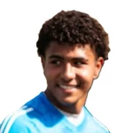 Dillon Griner