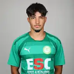 Adnan Baytemür