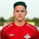 Aurel Veit