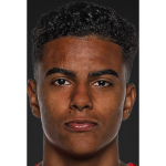 Henzo Vieira Rodrigues