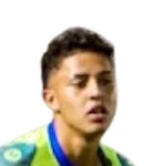 Yemerson Aaron Cabrera
