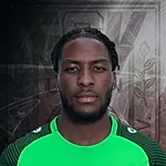 Oluwasegun Victor Adelusi