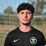 Albin Mecini