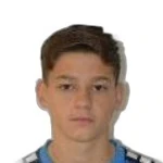 Dominik Mesić