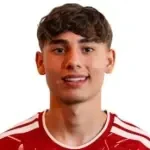 Erik Farkas Leonárd