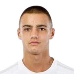 Roko Jenjić