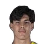 Alejandro Palomares Tarí