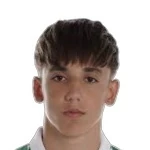 Fran Batán