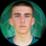 Mirnes Avdić