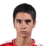 Miguel Armando Pires Teniz