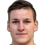 Gregor Grubisic