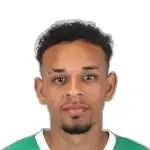 Higor Pardini Henrique