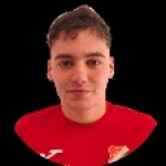Niko  Lovrić