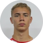 Pedro Henrique Fagundes Dos Santos