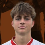 Max Fanstone