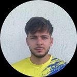 Mihai Marin