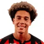 Axel Witsel