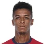 Wellington Priori