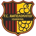 AO Ampelokipoi Ioanninon