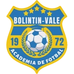 Academia de Fotbal Bolintin-Vale